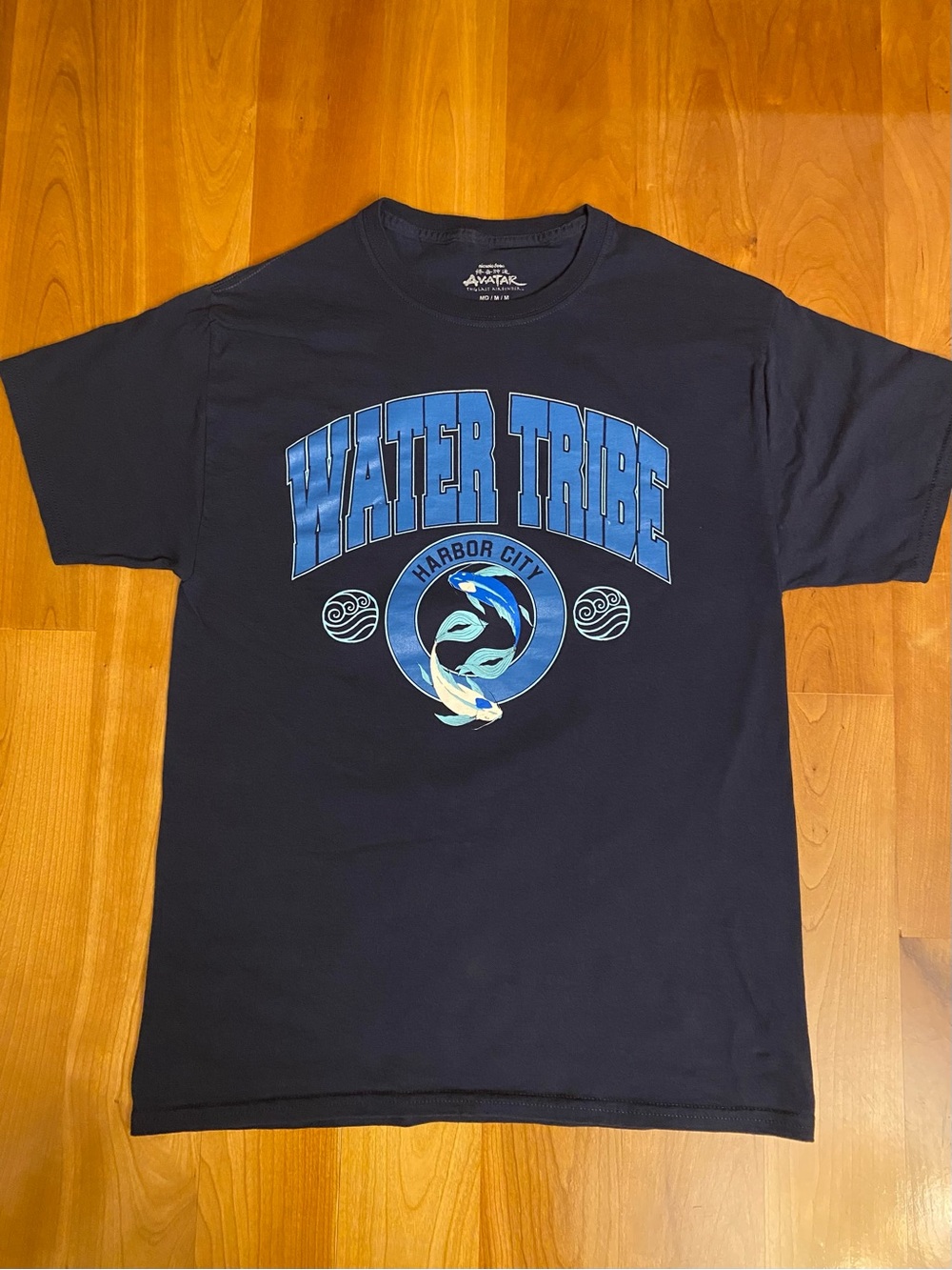 Avatar The Last Airbender - Water Tribe Harbor City Graphic Tee